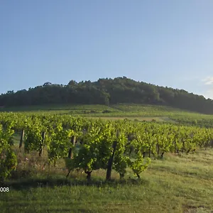 la-maison-du-vigneron.hotels-rhonealpes.com/